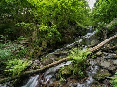 Laubach Wasserfall