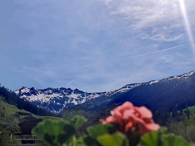 alpbachloft_alpbachtal-dakommtdersommer