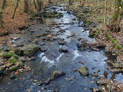 Holzbachschlucht