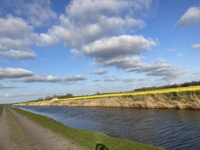 Rapsblüte, Blick Richtung Ferienhof