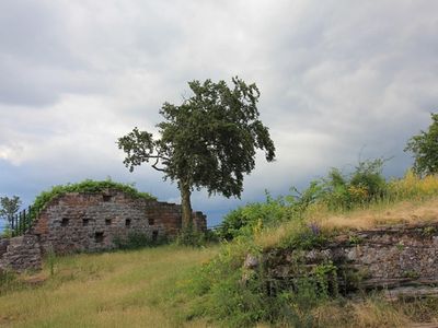 Ruine Lindelbrunn