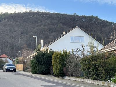 Blick Richtung Pfälzer Wald