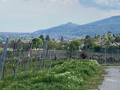 Blick aufs Hambacher Schloss