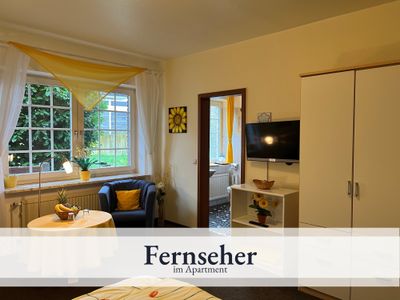 Fernseher