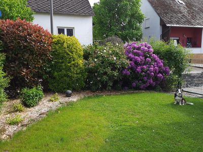 Blick in den Garten (nur Eigennutzung)