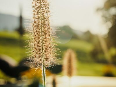 Garten_Das_Stoaber_Leogang