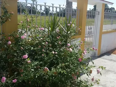 Ferienwohnung für 2 Personen (15 m²) in Cienfuegos 10/10
