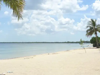 Ferienwohnung für 4 Personen (40 m²) in Playa Larga 6/10