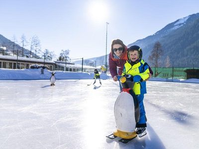 79-8487-HR_brennseehof_winter_by_gert_perauer_klei