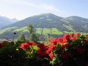 Alpbachblick - Blick vom Balkon