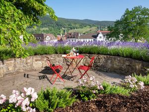 Wein mit Blick über die Stadt