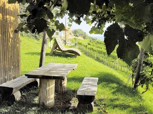 Sitzbank unter der Weinlaube