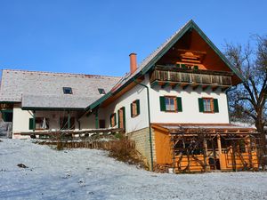 Ferienhaus Winter