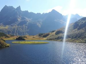 Langsee