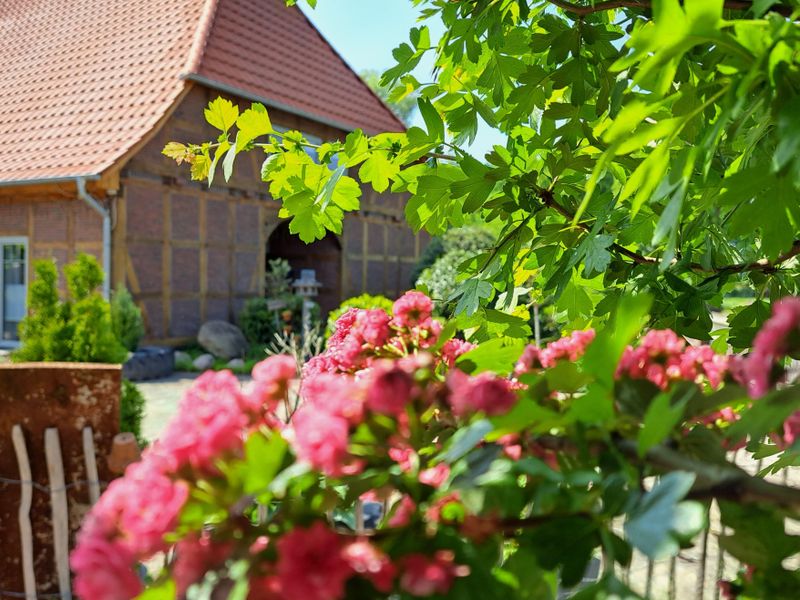 Mutti's Landhof - Aussenansicht