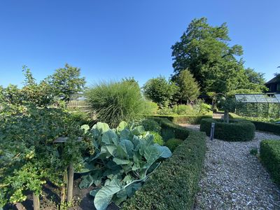 Bauerngarten mit Gemüse und Obst