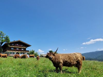 Zur Sommerzeit