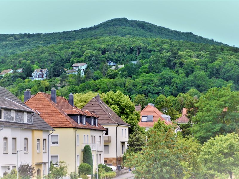 Blick vom Balkon