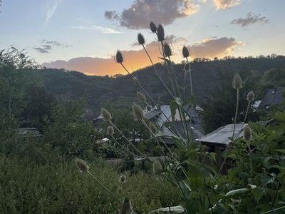 Blick von der Terrasse