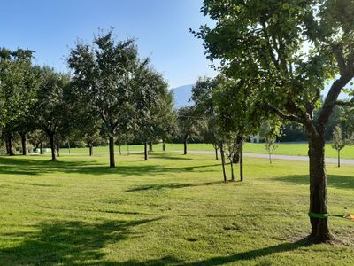 Obstgarten