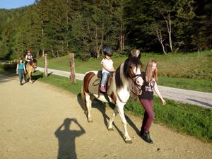 Geführtes Reiten in den Sommermonaten Juni-Oktober