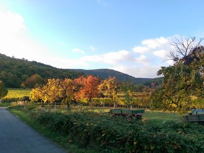 Wandern in der Hambacher Gemarkung