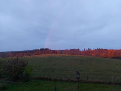 FeWo Weidenblick, Reinsfeld, Blick auf Weide