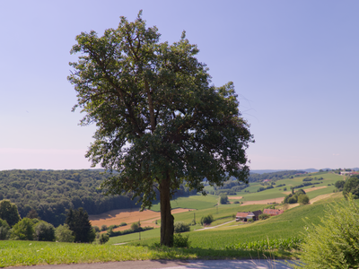 Aussicht