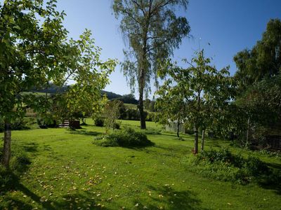 Aussicht in den Garten