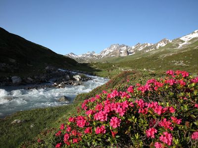 Sommerlandschaft Paznaun