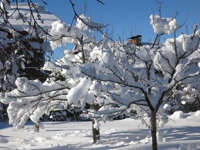 Winter in Wagrain