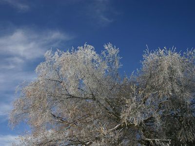 Winter an der Pension Talblick