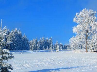 Winter in Weitersglashütte