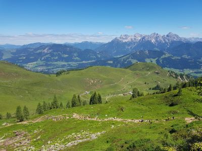 Buchensteinwand mit Steinbergen