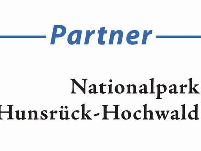 Logo NP-Partner