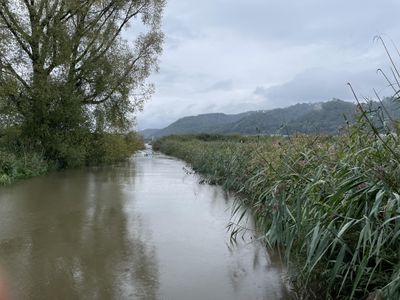 Bachlauf