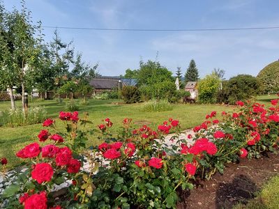 Blick in den Garten &amp; Streuobstwiese