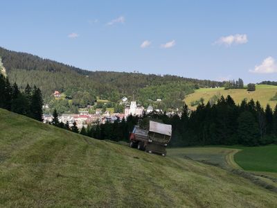 Reform Muli mit Blick nach Mariazell