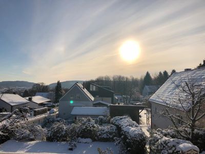 Blick in den Garten im Winter