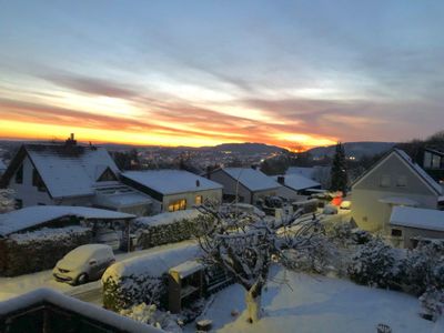 Blick in den Garten im Winter