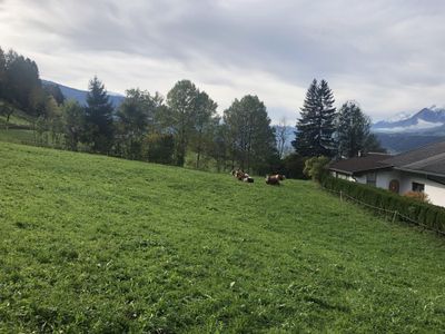 Ausblick vom Balkon