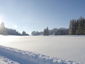 Winterbild