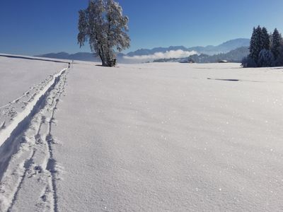 Winterwanderung ab der Haustüre