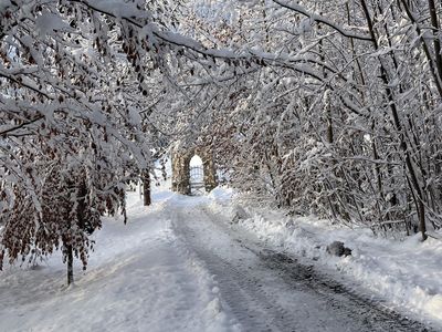 Schlosspark im Winter