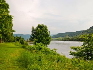 Mosel