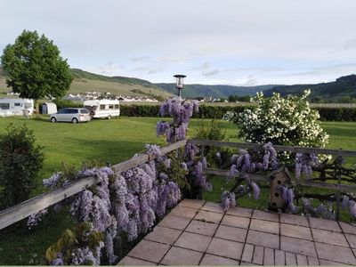 Garten mit angrenzendem Campingplatz