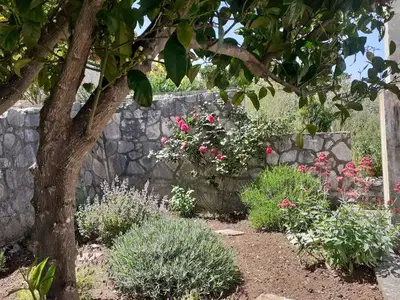 Ferienwohnung für 4 Personen in Korčula 7/10