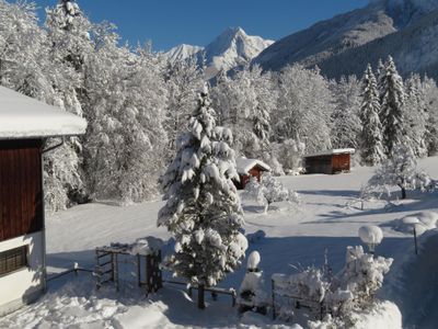 Blick in den Garten