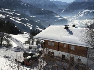 Almchalet-Zillertal-3