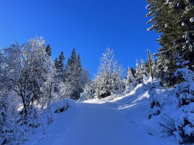 Winterlandschaft